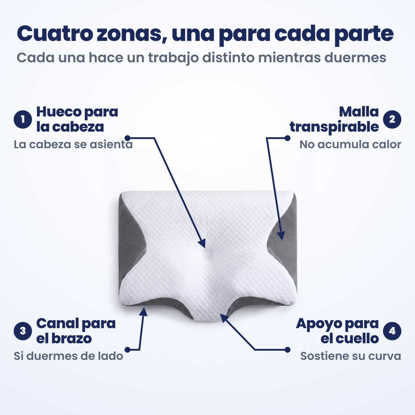Las cuatro zonas de la almohada cervical: cuello, cabeza, hombro y brazo